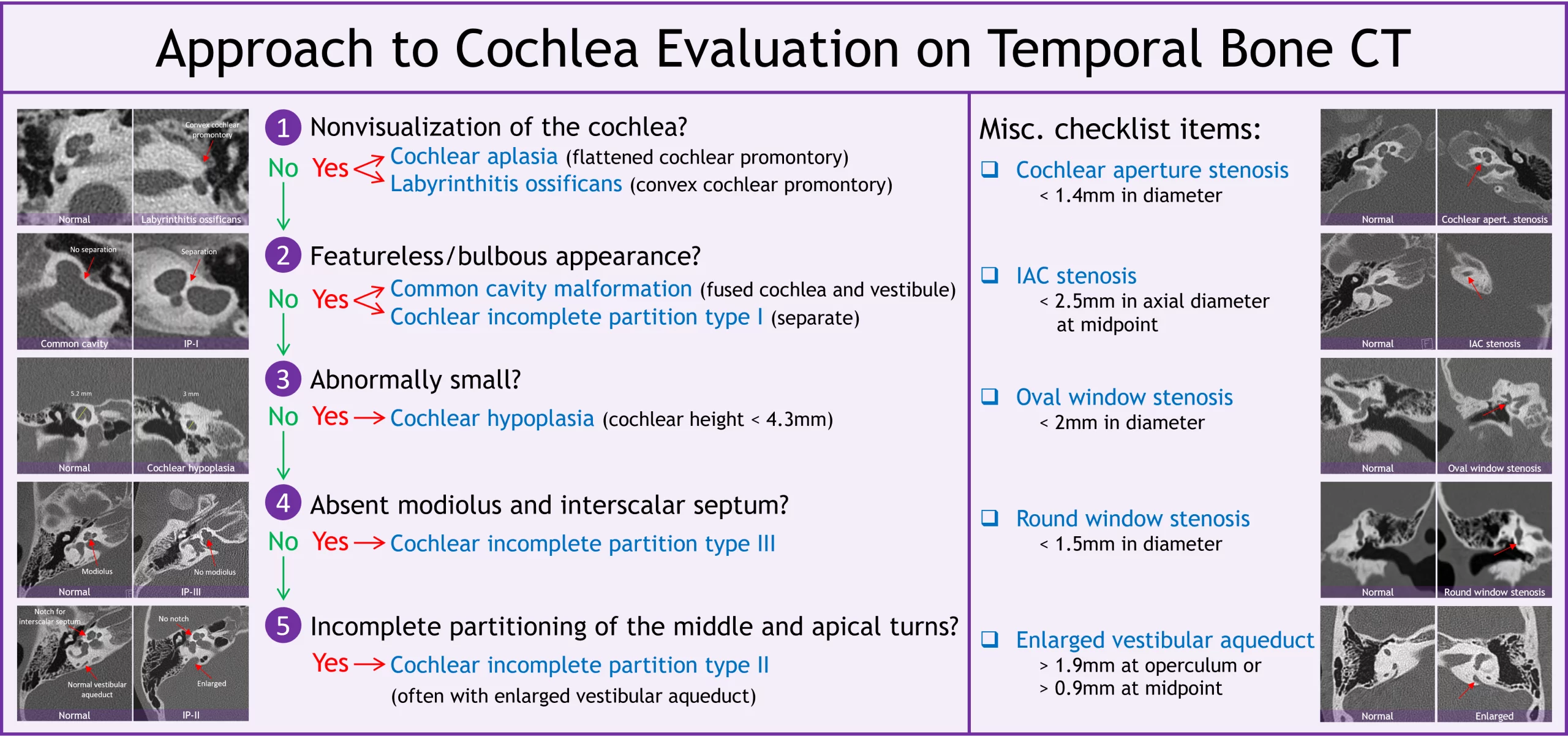 Approach to the Cochlea